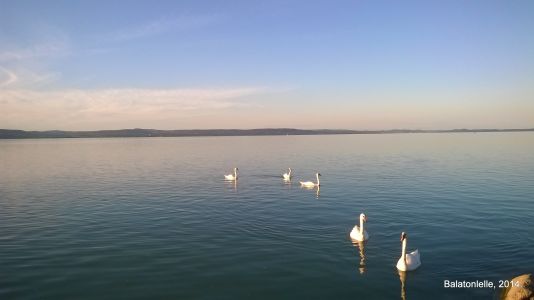 Balaton 2012-2014