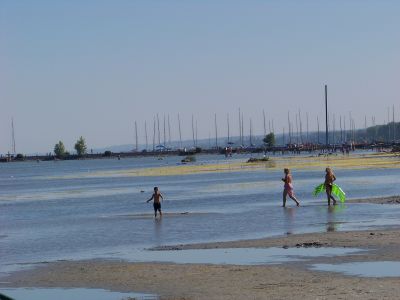 Balaton 2012-2014