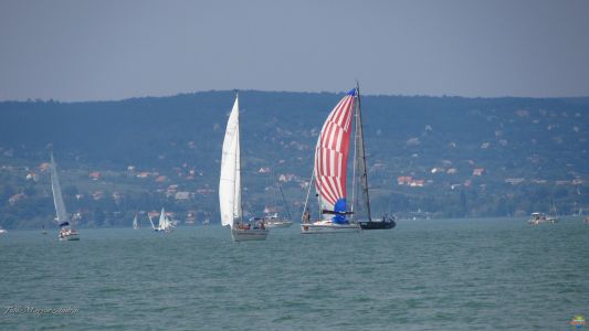 Kékszalag vitorlásverseny 2015.