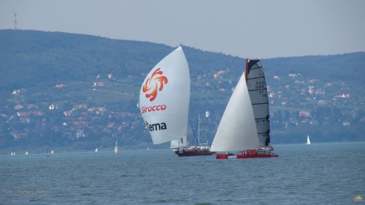 Kékszalag vitorlásverseny 2015.