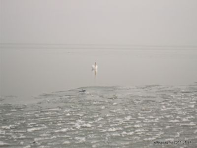 Balaton tél 2014.