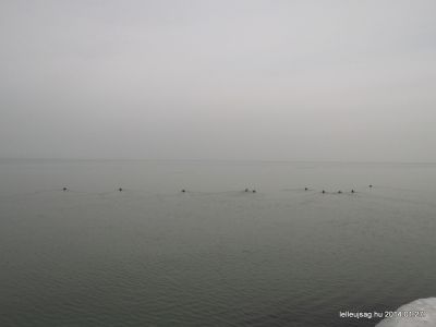 Balaton tél 2014.